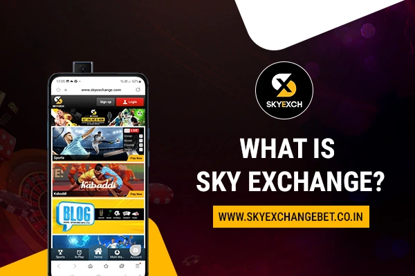 What is Sky Exchange