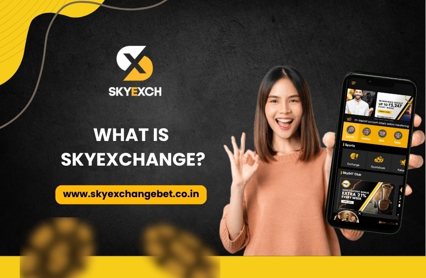 What is Skyexchange?